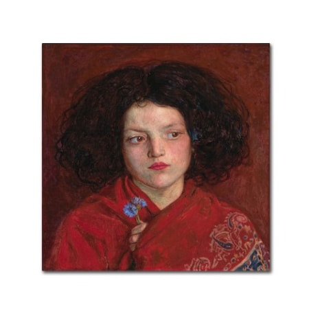Brown 'The Irish Girl' Canvas Art,18x18